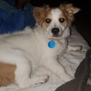 Meet your Posher, Marjorie